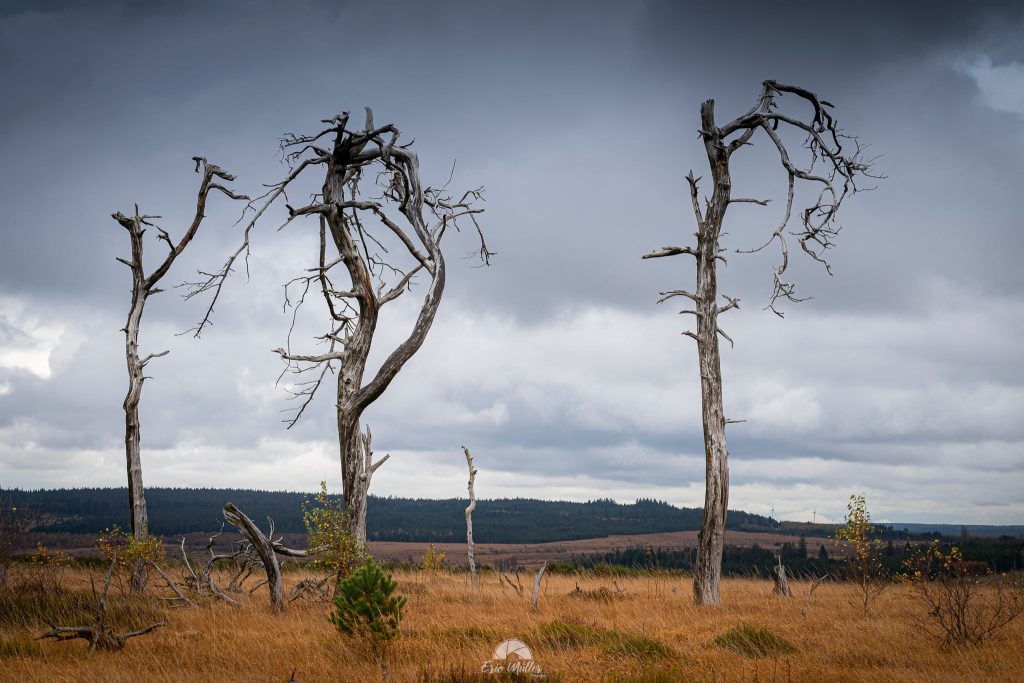 Le Noir Flohay lors d'un ciel dramatique