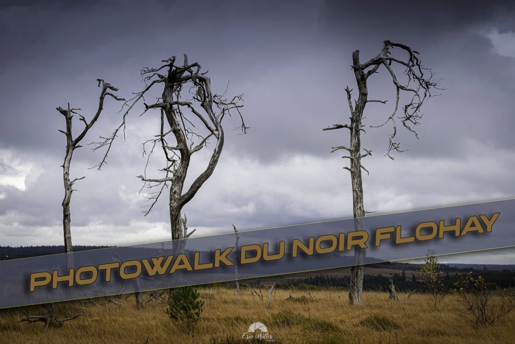 Photowalk du Noir Flohay