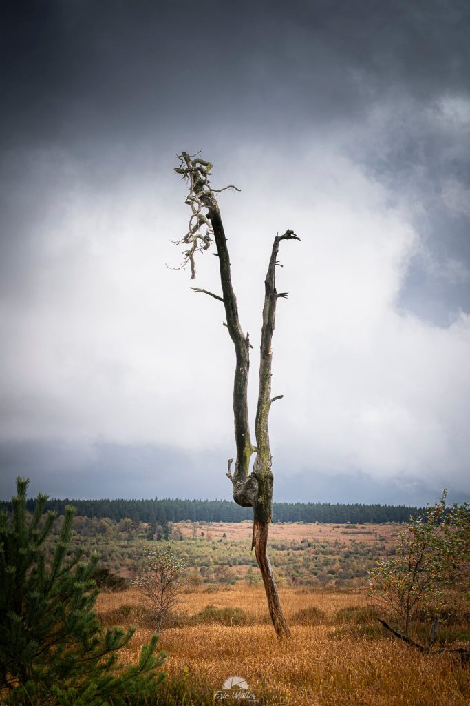 Le Noir Flohay lors d'un ciel dramatique